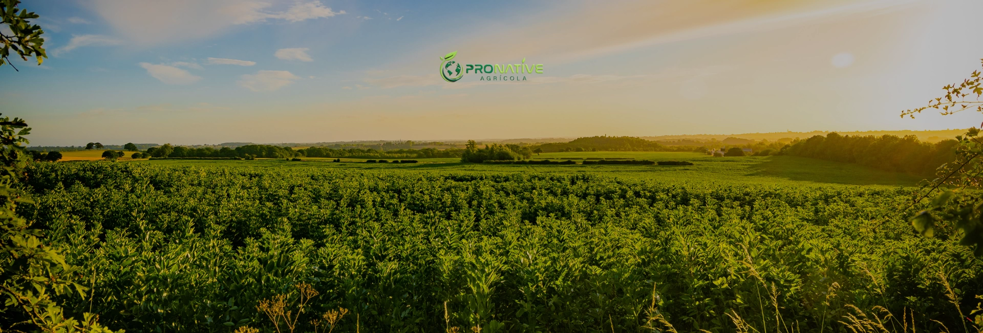 LEVAMOS TECNOLOGIA E QUALIDADE AO PRODUTOR RURAL. - 